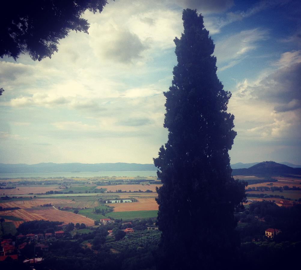 Il Vecchio Frantoio Villa Panicale Luaran gambar