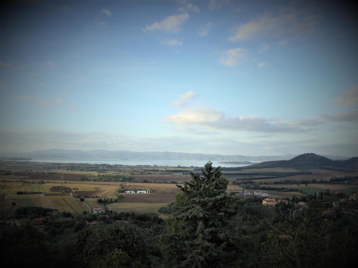 Il Vecchio Frantoio Villa Panicale Luaran gambar