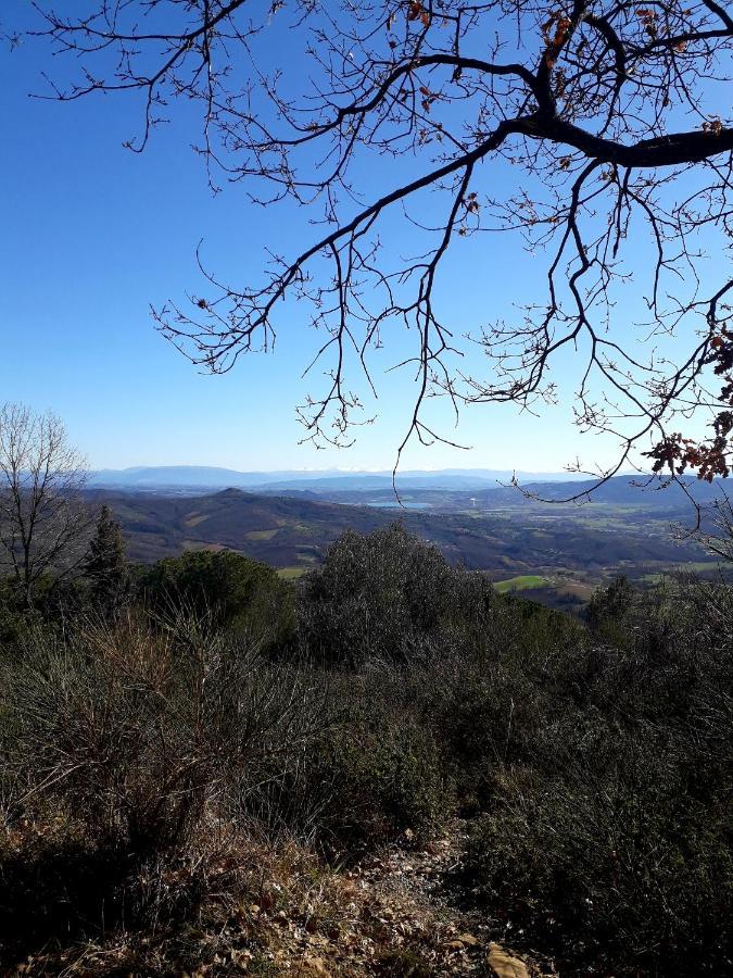 Il Vecchio Frantoio Villa Panicale Luaran gambar