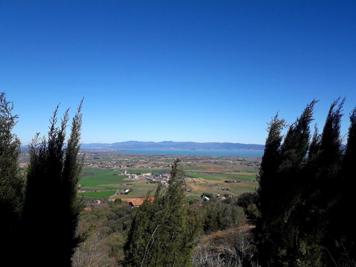 Il Vecchio Frantoio Villa Panicale Luaran gambar